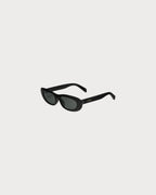 CELINE Cat Eye S310 sunglasses Acetate(3 Colors)