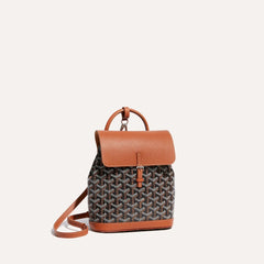 GOYARD Alpin Mini Backpack | Goya backpack (multicolor)