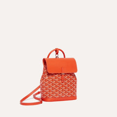 GOYARD Alpin Mini Backpack | Goya backpack (multicolor)