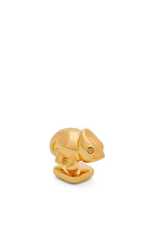 LOEWE Chameleon Pin in Brass | 羅意威 金屬扣 (多款/多色) - LondonKelly 英國名牌代購