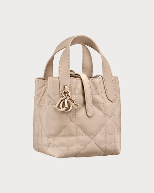 CHRISTIAN DIOR Dior Toujours Vertical Nano Tote Bag | Dior Mini Tote Bag (Multicolor)