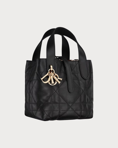 CHRISTIAN DIOR Dior Toujours Vertical Nano Tote Bag | Dior Mini Tote Bag (Multicolor)