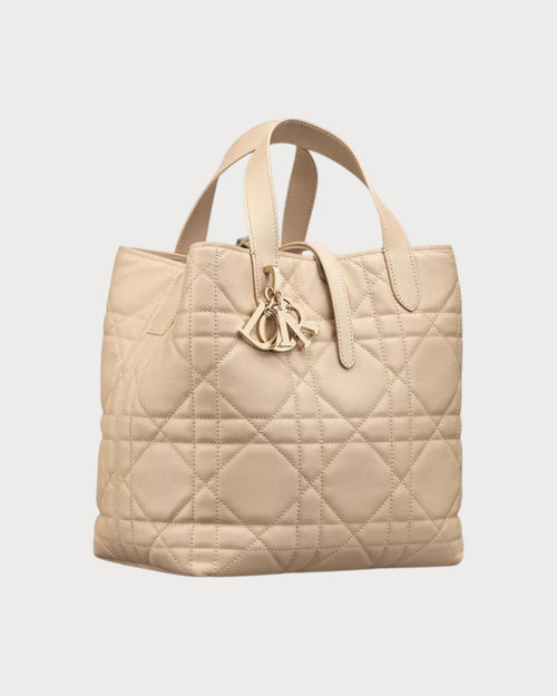CHRISTIAN DIOR Medium Dior Toujours Vertical Tote Bag | Dior Tote Bag (Multicolor)