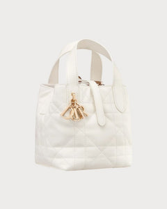 CHRISTIAN DIOR Dior Toujours Vertical Nano Tote Bag | Dior Mini Tote Bag (Multicolor)