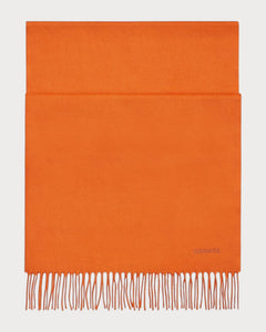 HERMES Men's Unie Brodee Muffler | 愛馬仕 男仕頸巾 (多色) - LONDONKELLY 英國名牌代購